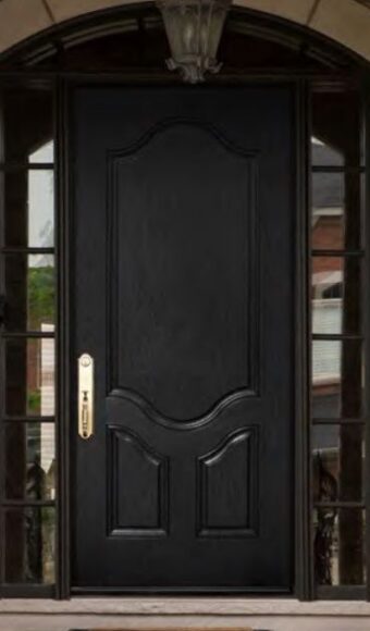 Dark brown fiberglass door