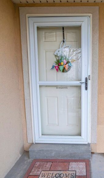 Storm door white