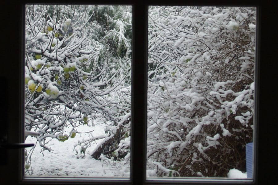 Winterizing Winnipeg Windows