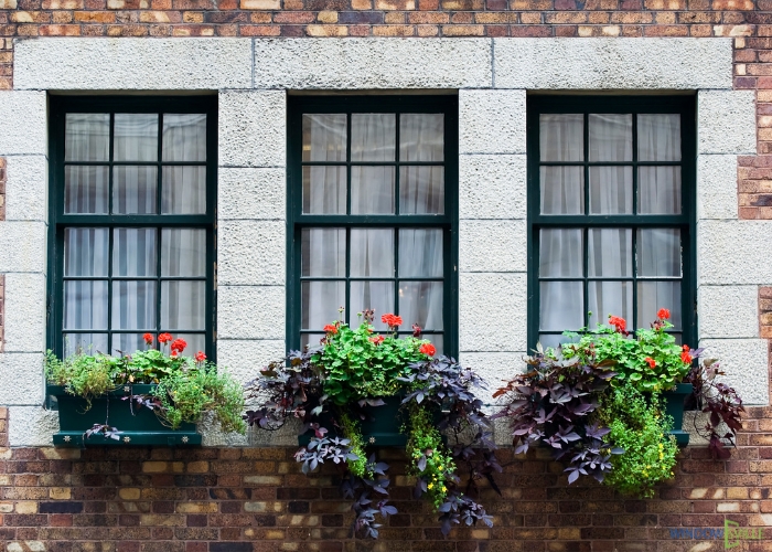 types of window grills