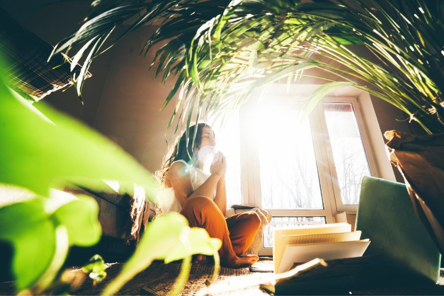 Small natural light space with plants