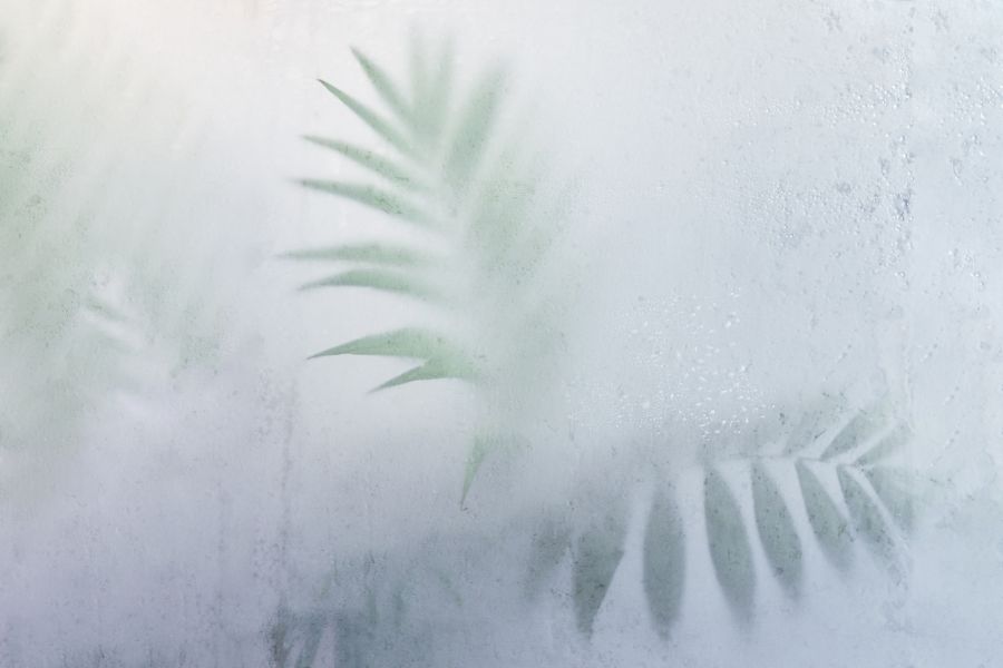 Foggy Window Condensation
